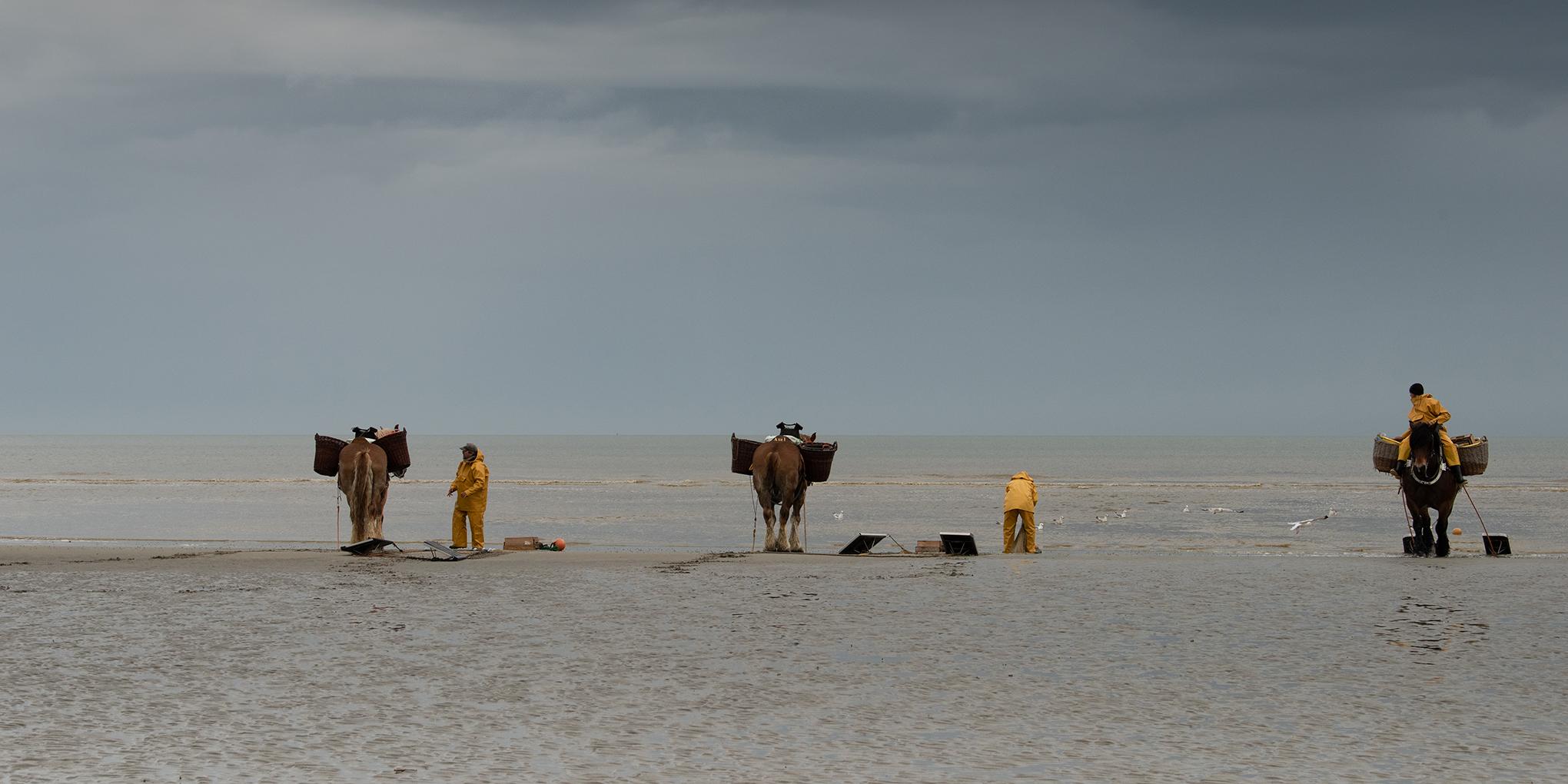 De Noordzee en de paardenvissers: twee van de grootste lokale producenten van sterrenchef Willem Hiele.