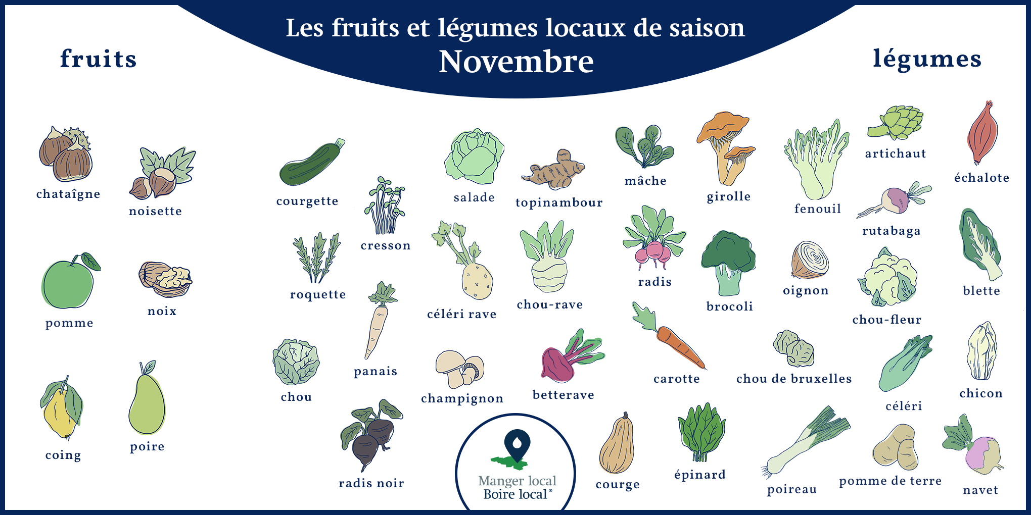 Calendrier des fruits et légumes de saison et locaux, légumes novembre