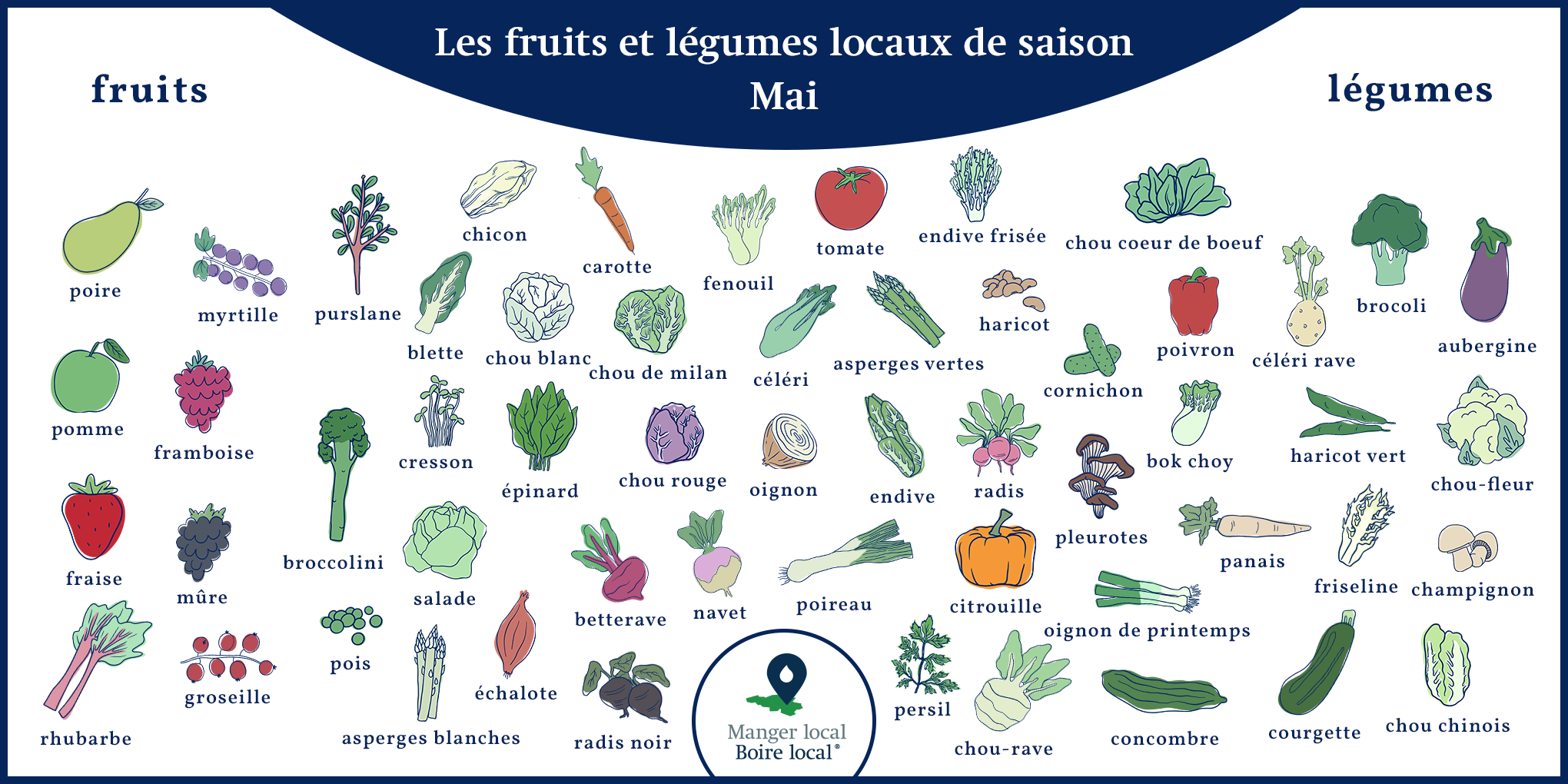 Calendrier des fruits et légumes de saison et locaux, légumes décembre