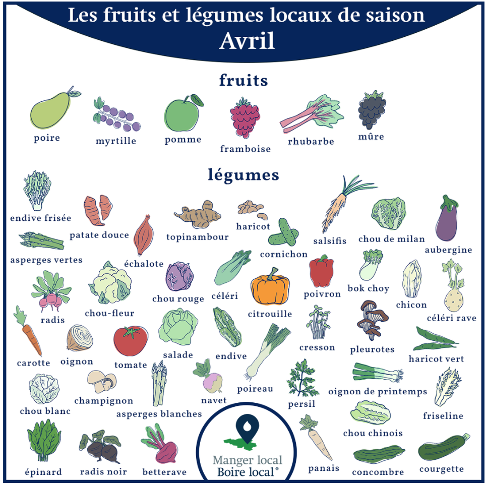 Calendrier des fruits et légumes de saison et locaux, légumes août