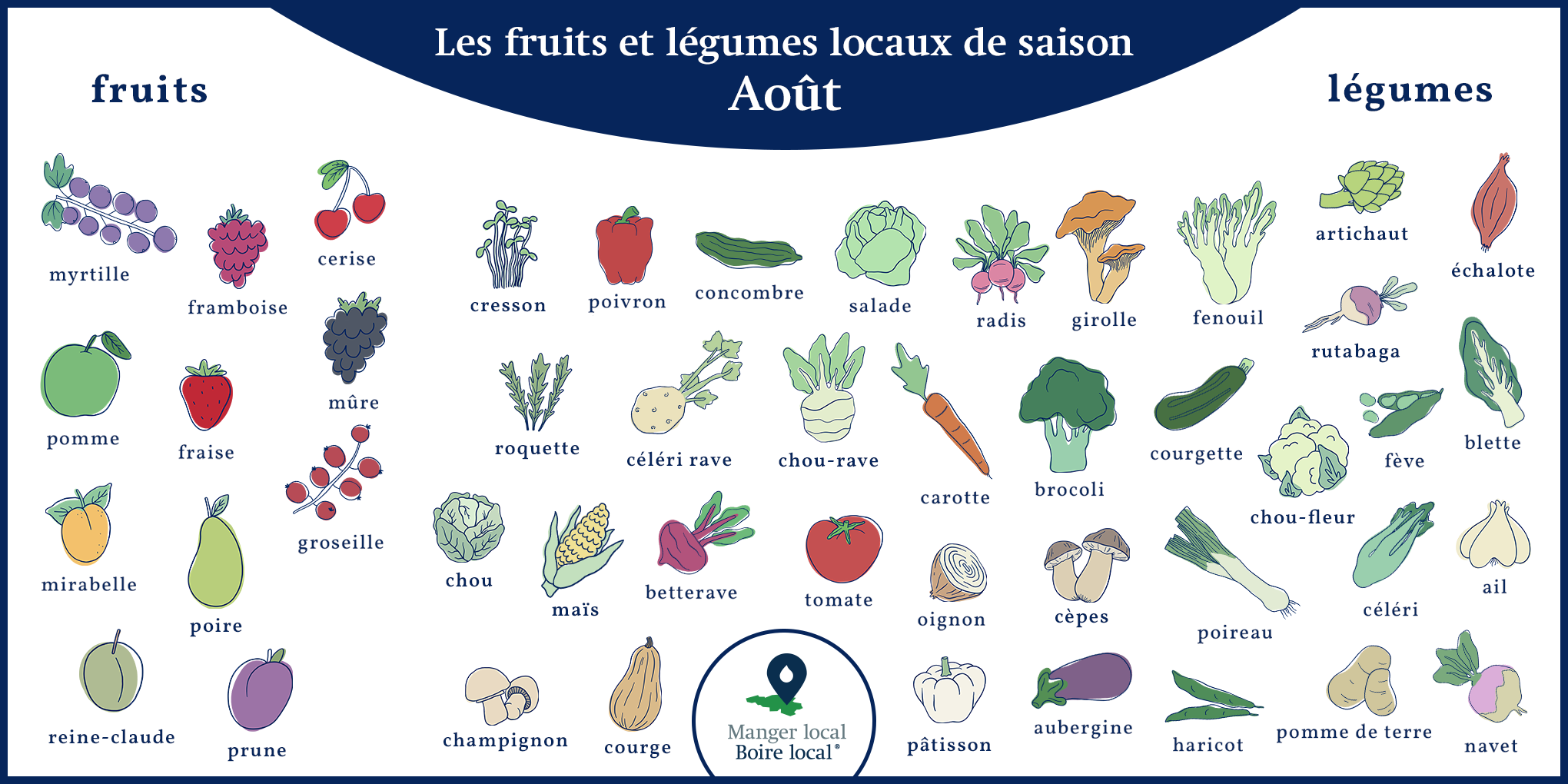 Calendrier des fruits et légumes de saison et locaux, légumes août