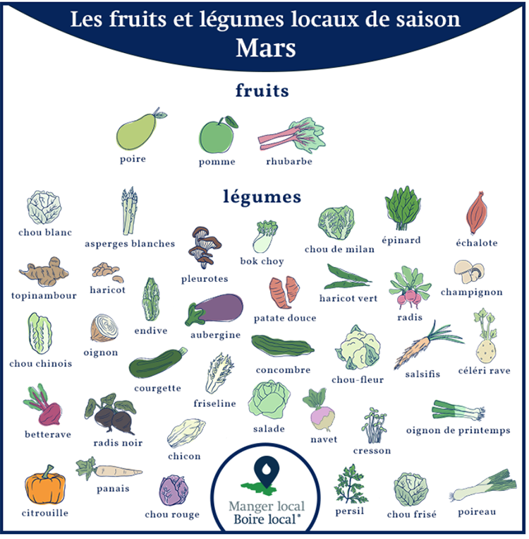 Calendrier des fruits et légumes de saison et locaux, légumes février