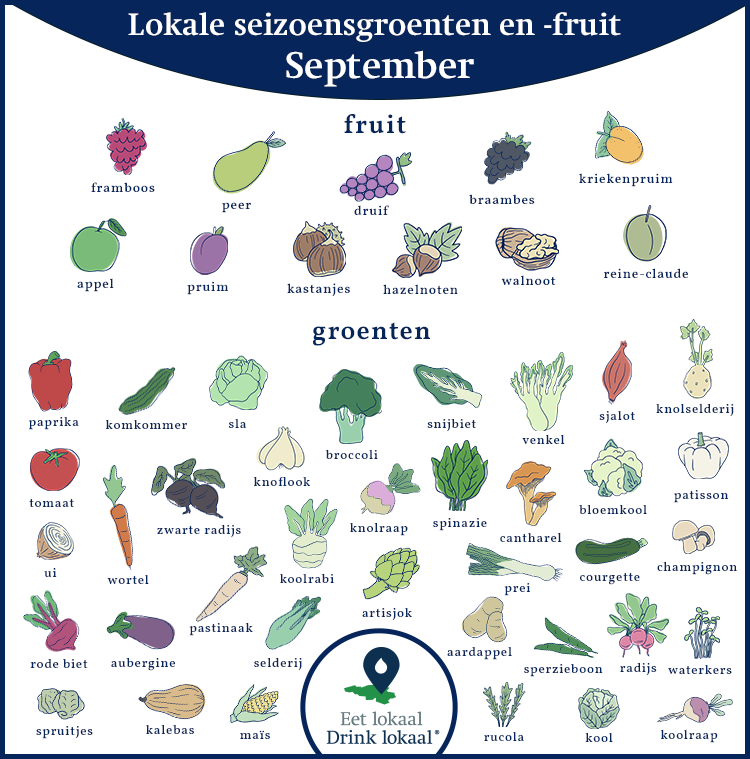 Kalender van lokale seizoensgroenten en -fruit, februari