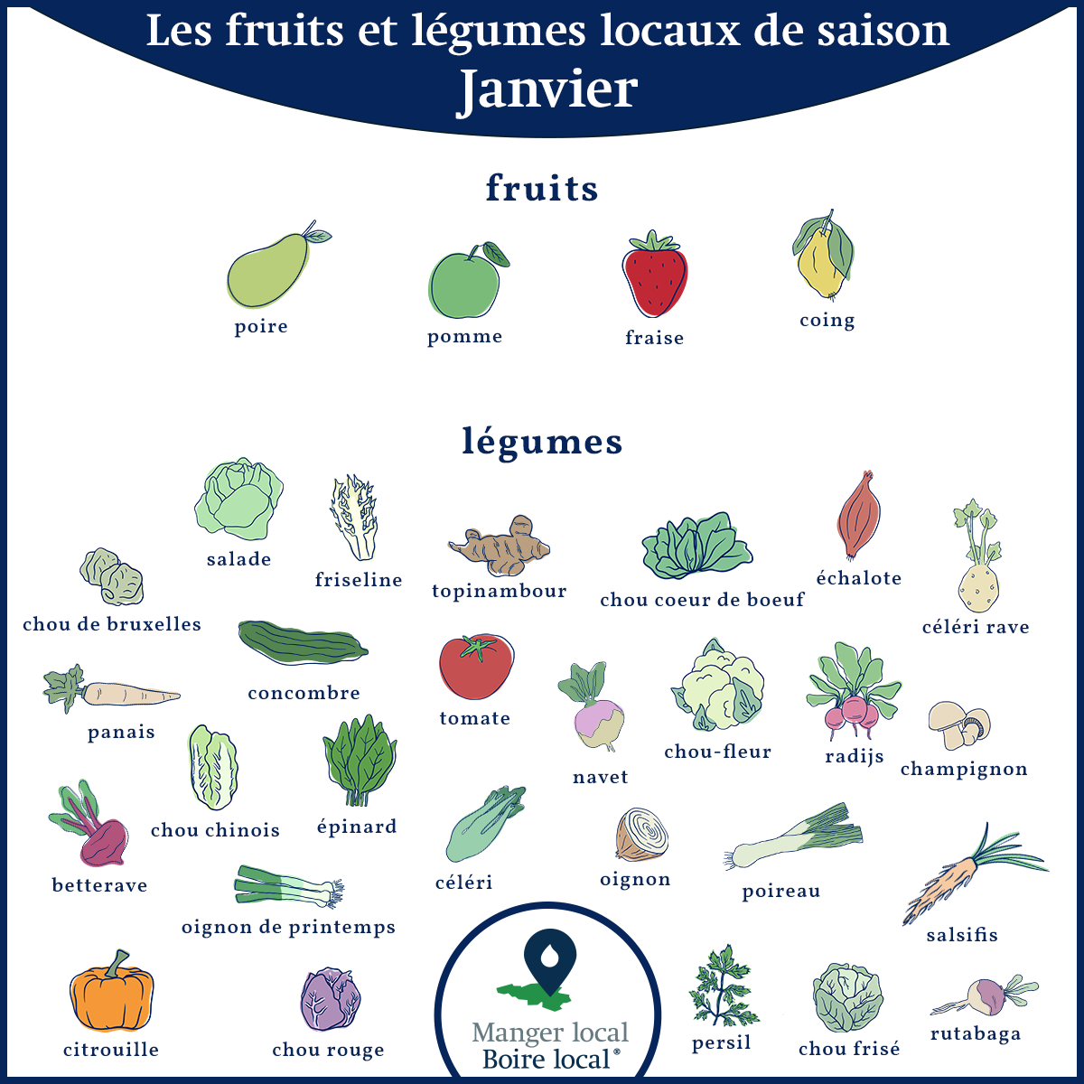 Calendrier des fruits et légumes de saison et locaux, légumes janvier