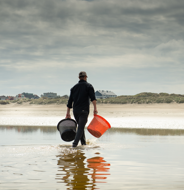 Le chef étoilé Willem Hiele avec ses produits locaux dans la mer du Nord.